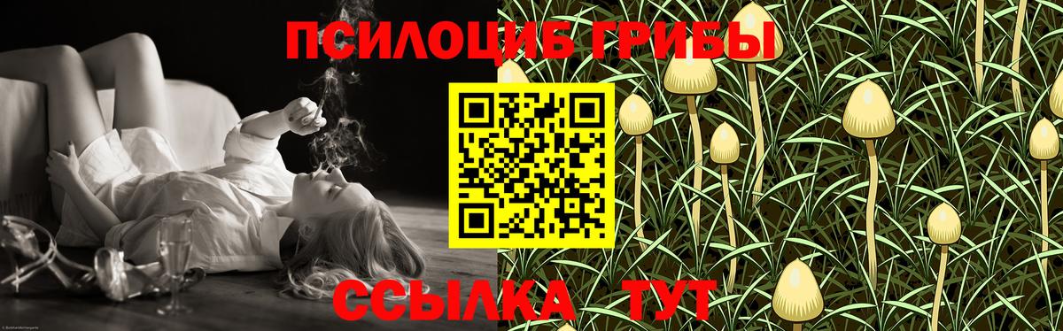Галлюциногенные грибы прущие грибы Алушта